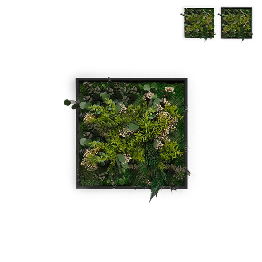 ForestMoss Persefone quadri vegetali fiori stabilizzati piante parete