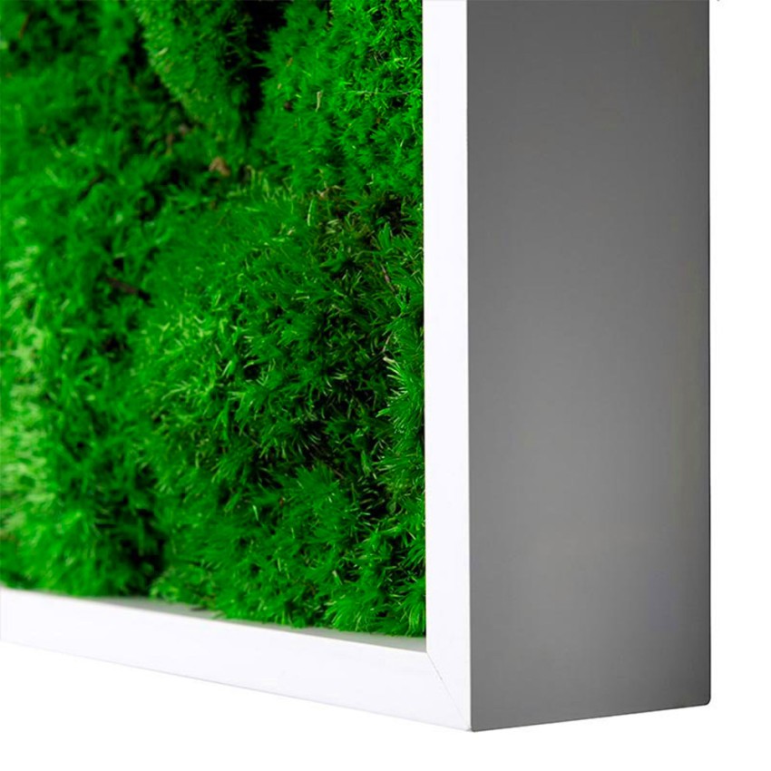 GreenBox Kit Lichene Quadri vegetali stabilizzati 60x40cm 4 pannelli